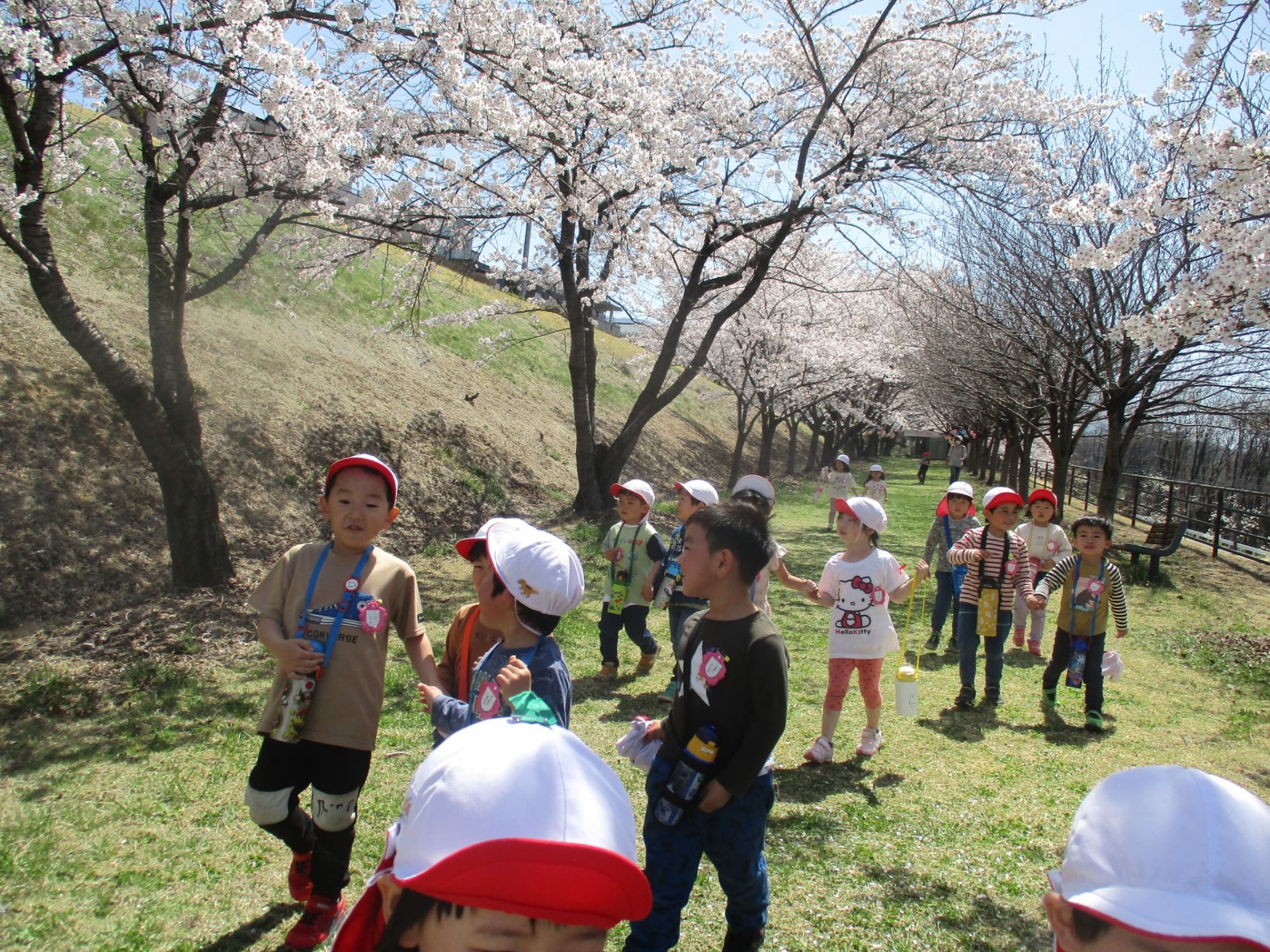 4月お花見