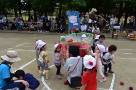 DSC_0063 DSC_00633