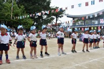 DSC_0067 DSC_0067