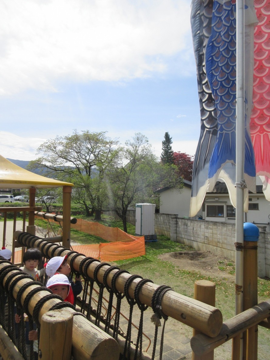 IMG_01291-e1776756902617