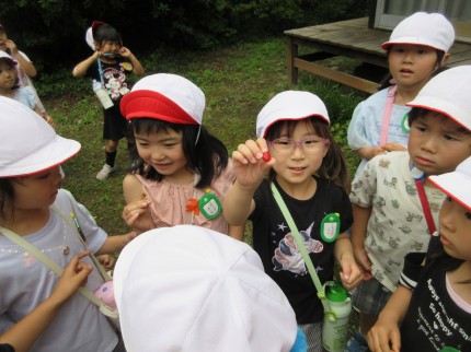 IMG_0141 IMG_0141