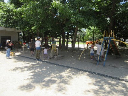 IMG_0194 IMG_01942