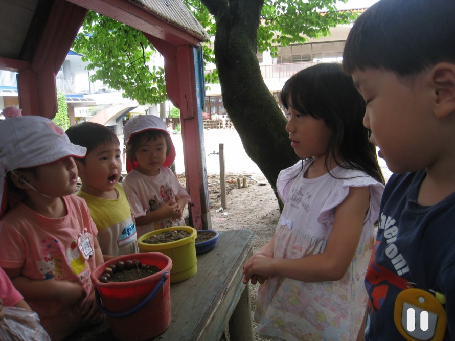 IMG_0308 IMG_03082