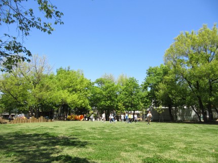 IMG_0409 IMG_0409