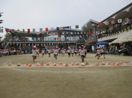 IMG_0422 IMG_04221
