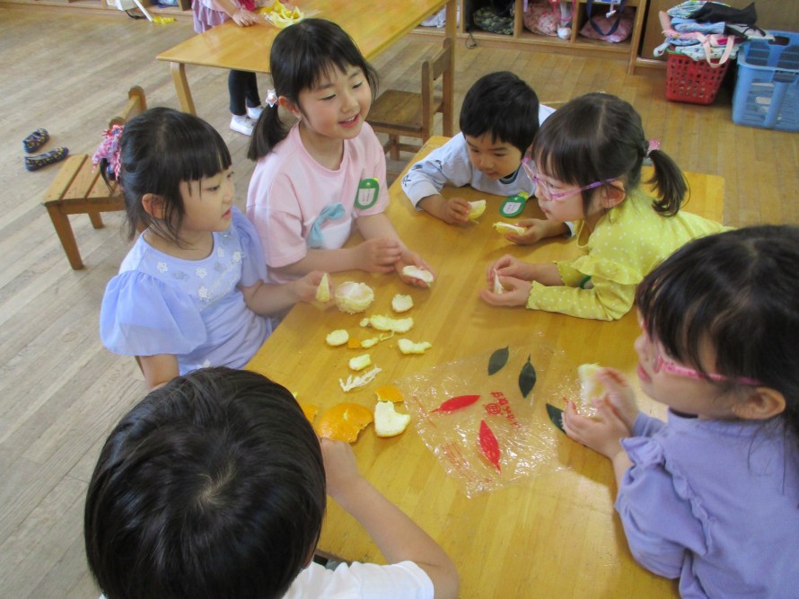 IMG_0590 IMG_0590