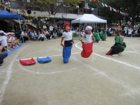 IMG_06233