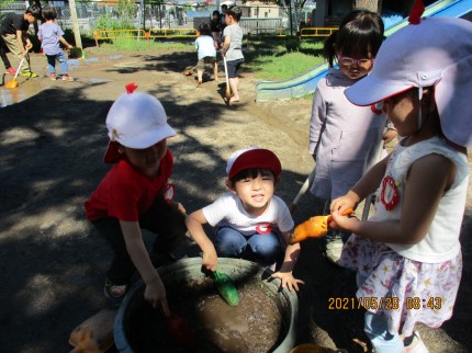IMG_0718 IMG_0718