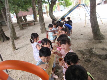 IMG_0978 IMG_09781