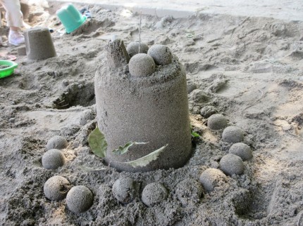 IMG_1207 IMG_1207