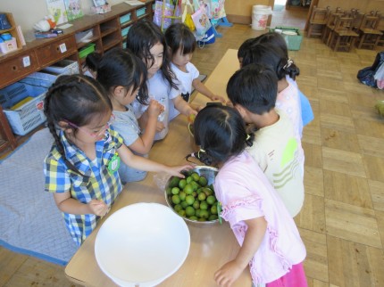 IMG_1245 IMG_1245