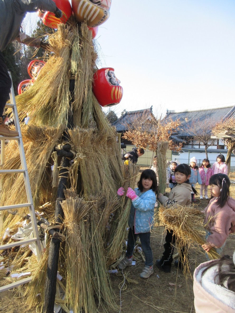 IMG_19981-e1768456906512