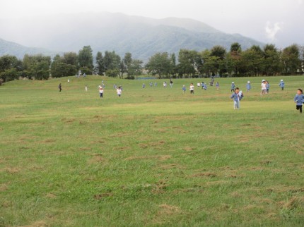 IMG_2484 IMG_2484