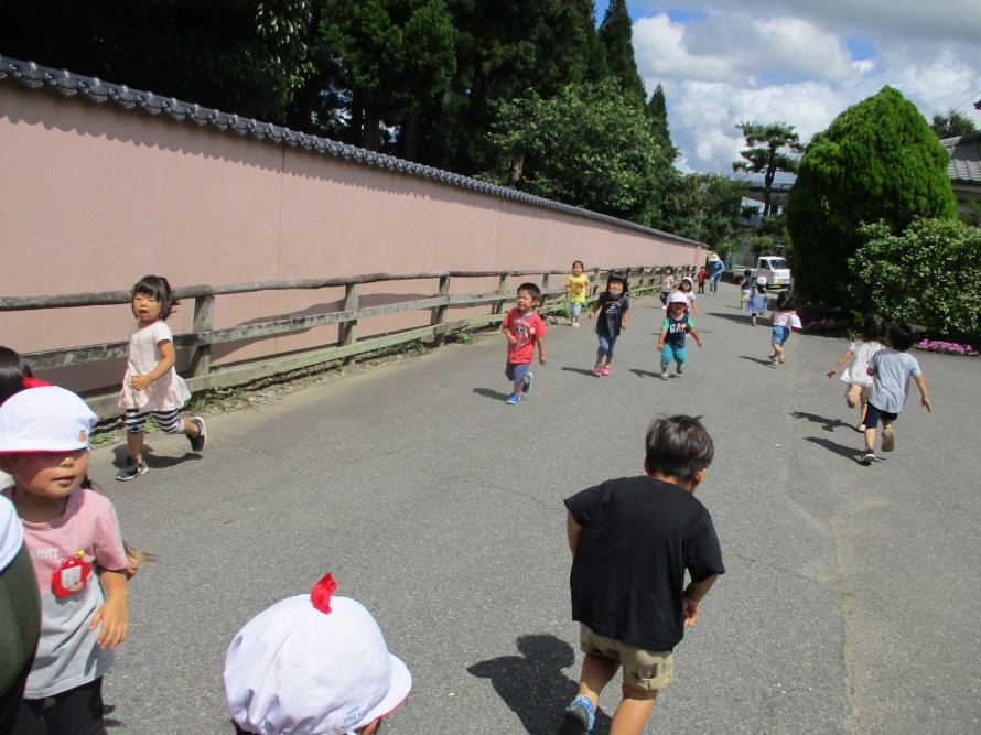 IMG_2742 IMG_2742