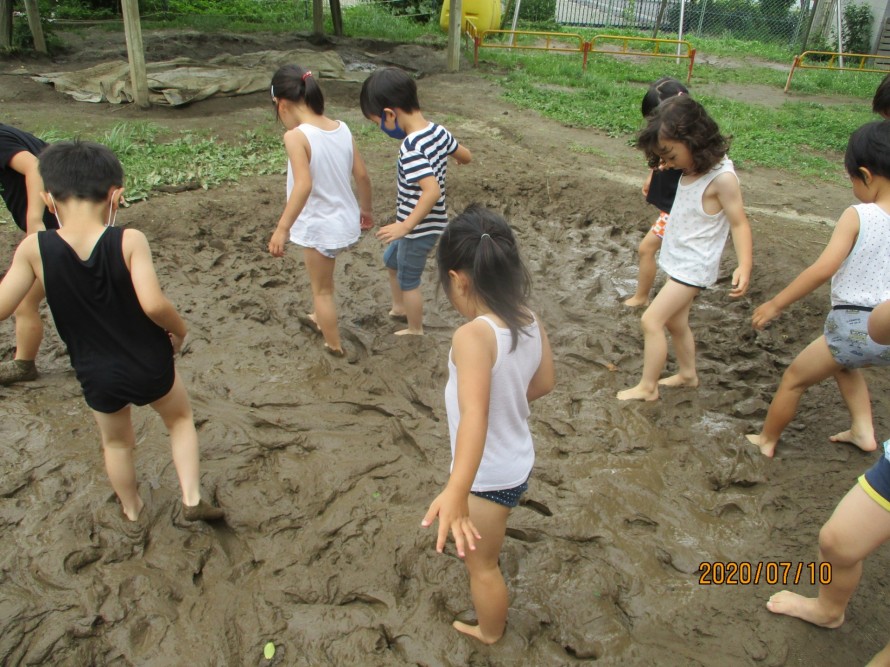 IMG_3500 IMG_3500