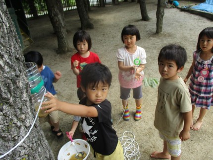 IMG_4015 IMG_4015