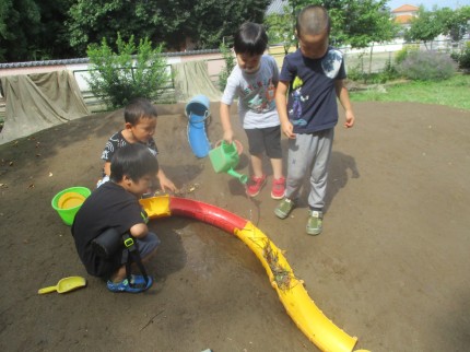 IMG_4173 IMG_4173