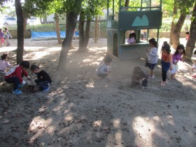 IMG_4627 IMG_4627