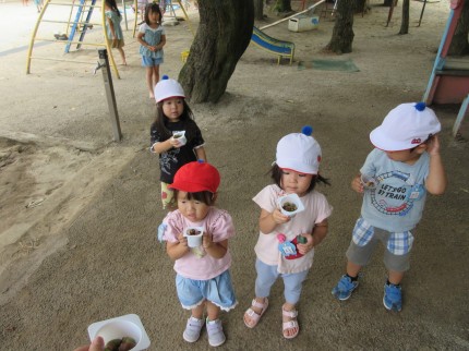 IMG_7202 IMG_72021