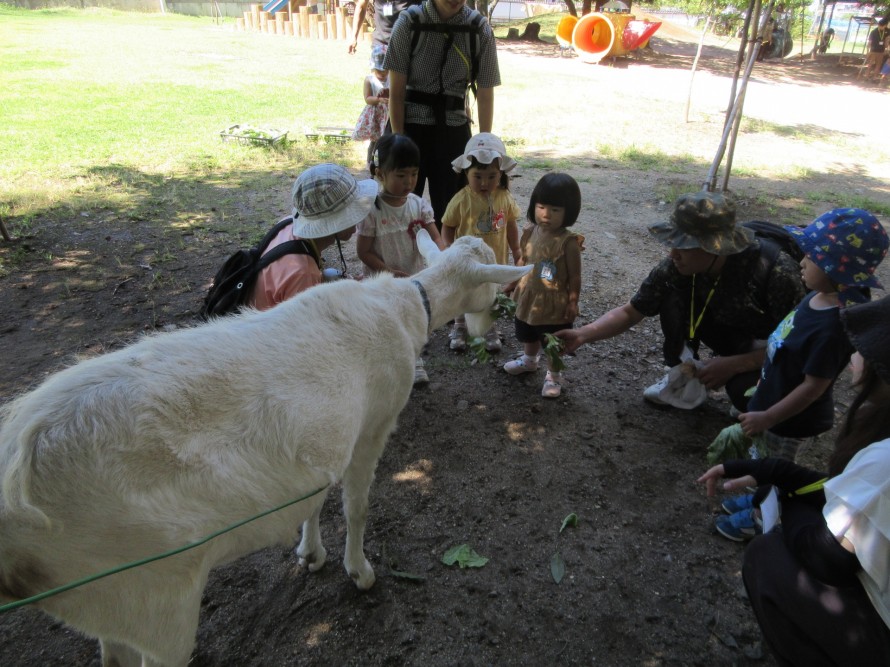 IMG_7559 IMG_75591