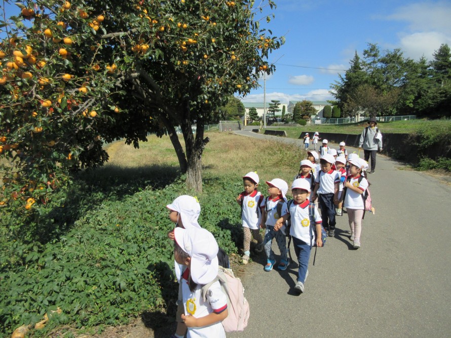 IMG_8175 IMG_8175